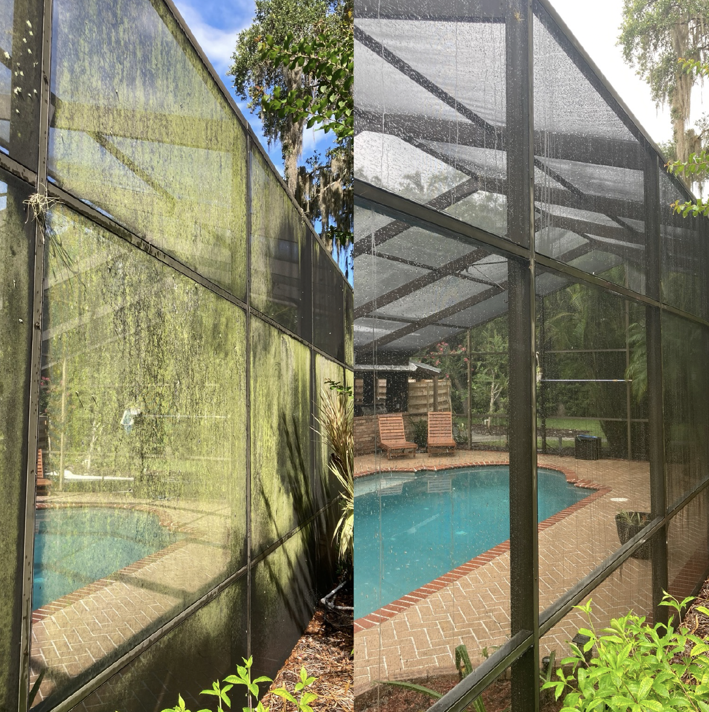 Before and after screen enclosure cleaning in Bradenton FL