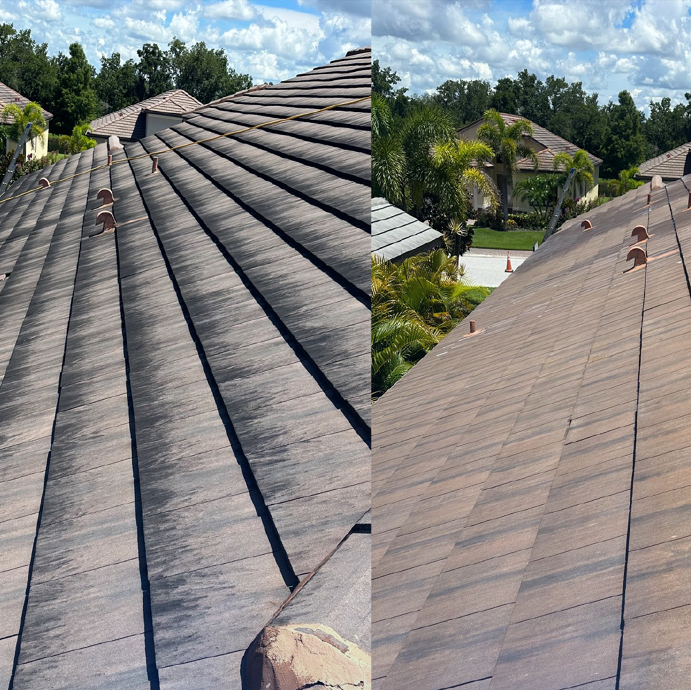 Before and after roof soft wash on tile roof in Sarasota FL